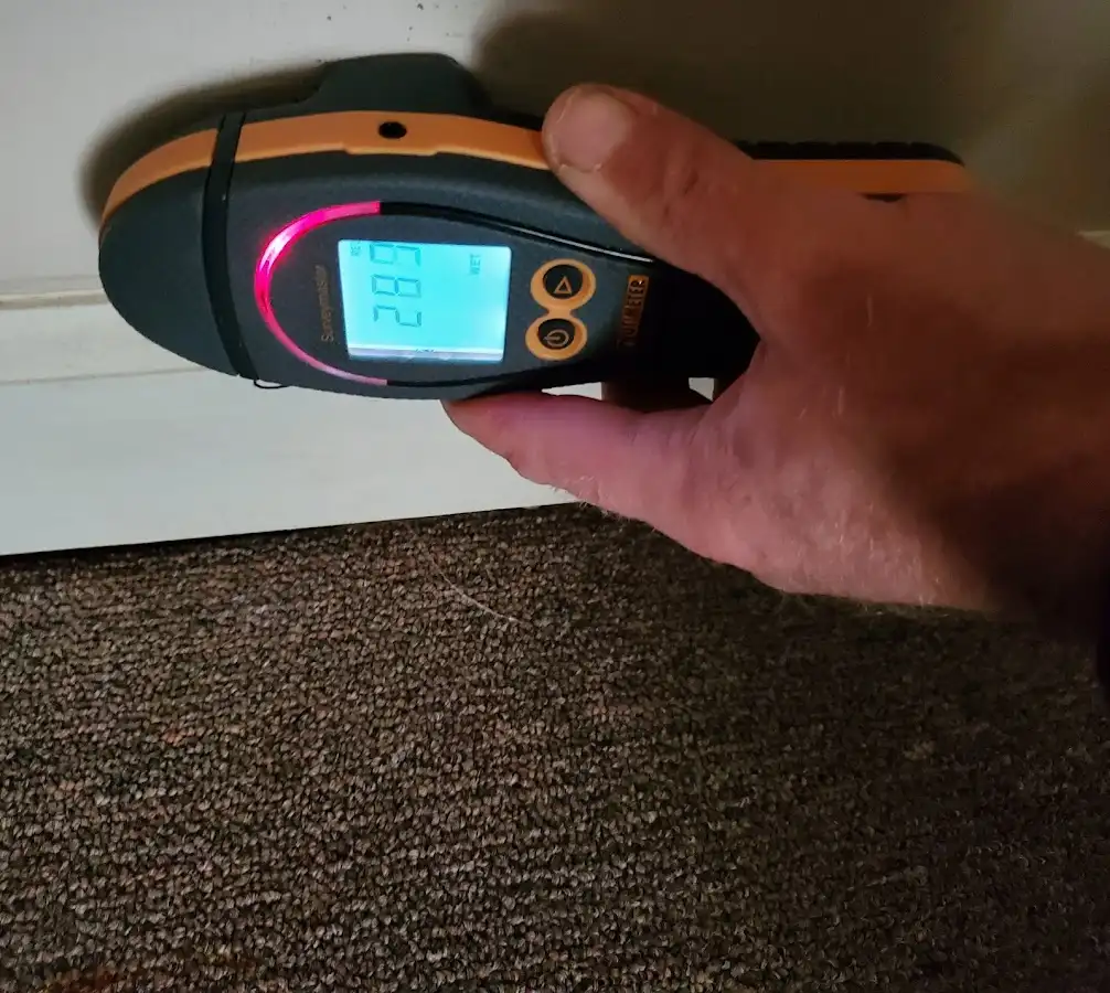 Moisture detection at baseboard during Sewage Cleanup & Sanitation in Grove City